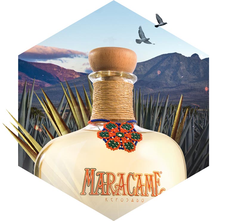 Maracame Tequila | Where to buy | Top tequila brand